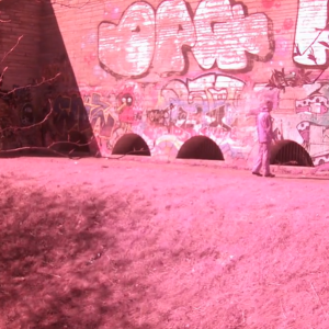 Creeping at the monument