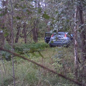 More action down the pee trail