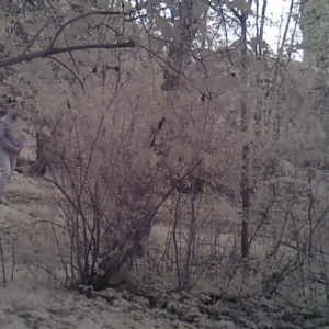 A man at a clearing along the trail