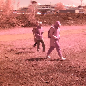 Activity at the dumping fields