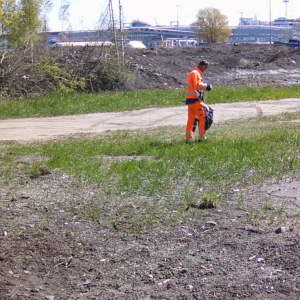 More activity from the dumping field