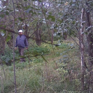 Activity Report – September 20 2019