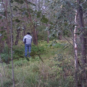 Returning visitors to the trail