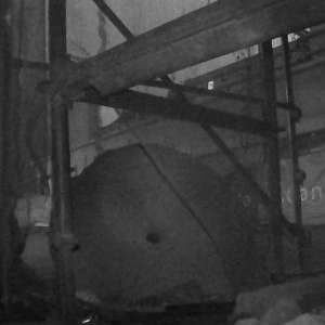 Rats and rubbish collectors