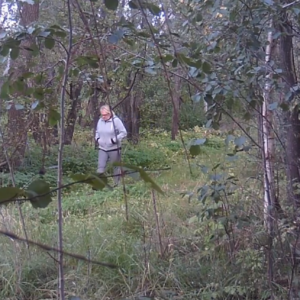 Taking it off the trail