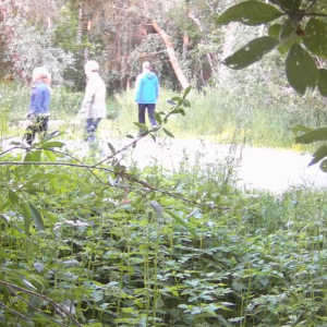 Trailside pee stop