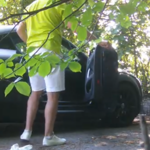 The car guy returns