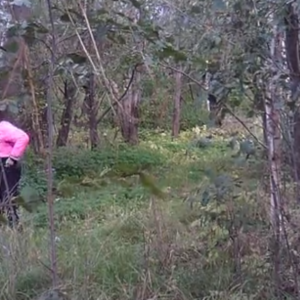 Watch out for the lady in pink