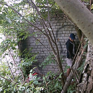 Men looking for cover