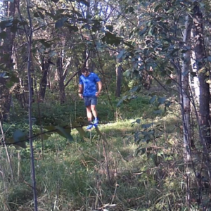 Many coming to the pee trail