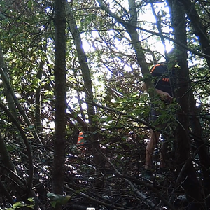 Several men in the woods and a little playtime