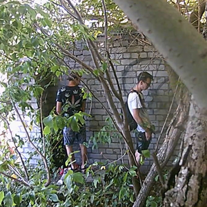 Peeing with friends at the wall and forest