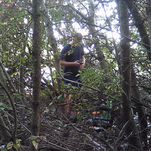 Food delivery break in the woods