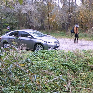Lots of visitors to the parking lot