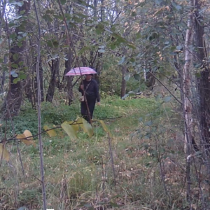 A rainy day doesn’t keep people away