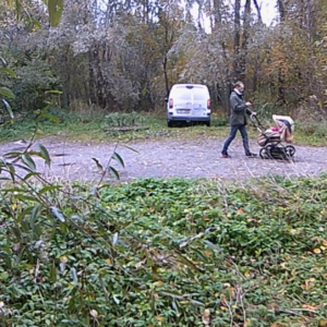 Activity Report – October 11 2019