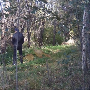 Just a normal day on the trail