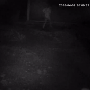 Long legs behind the shop