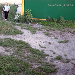 Broad daylight visit behind the shop