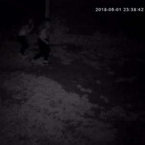 Ladies in the dark