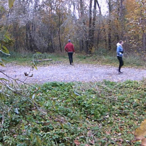 A wet day along the trail