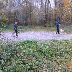 Dog walkers in the rain