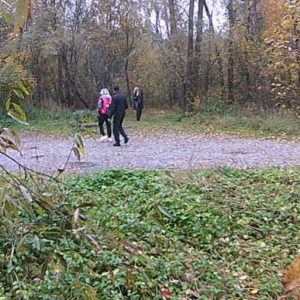 Another wet day in the woods