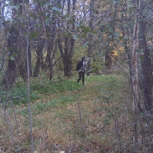 Hiding behind the tree