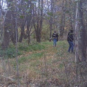 Couples day in the woods