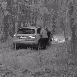 Audi in the woods