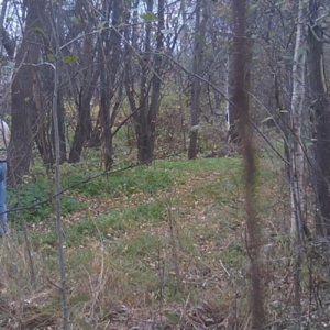 2-day grab bag on the trail