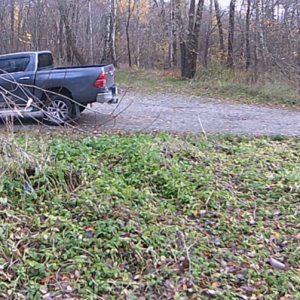 Action around the parking lot