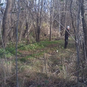 Men coming to water the trees