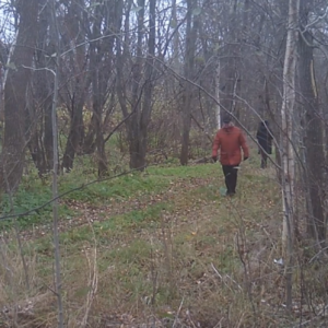 A slower day along the trail
