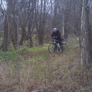 A grab bag of visitors to the trail