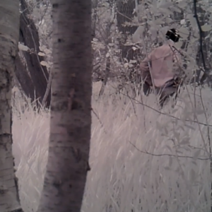 Visitors to the pee trail