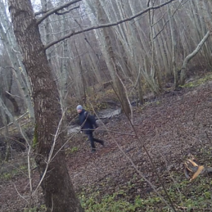 More action from new locations