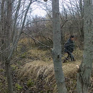 Hikers on the meadow trail
