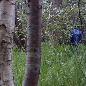 Many men to the pee trail today