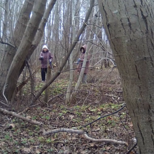 Did they see the camera?