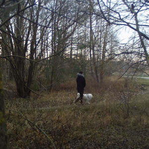 A nice day to explore the woods