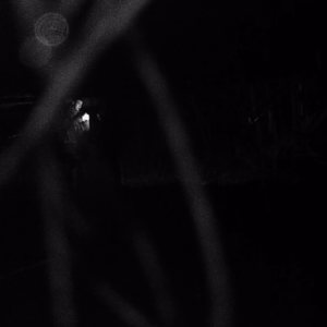 In the dark, under the bridge