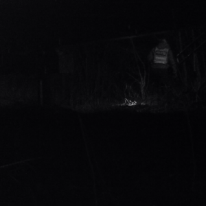Police on patrol