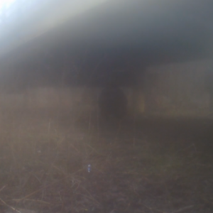 Fogged out cameras