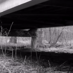 Creepers and a hesitant dog