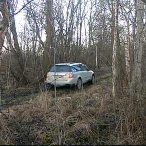 More cars come to the woods