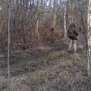 Several visitors stopping by the trail