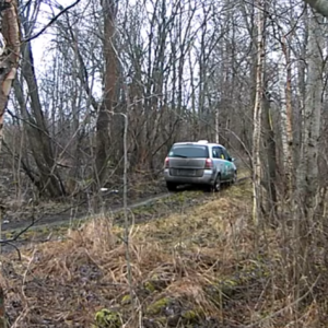 Forest taxi?