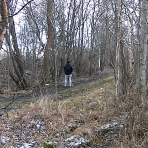A frosty day in the woods