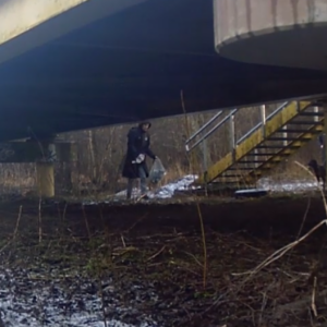 Cleanup by the bridge
